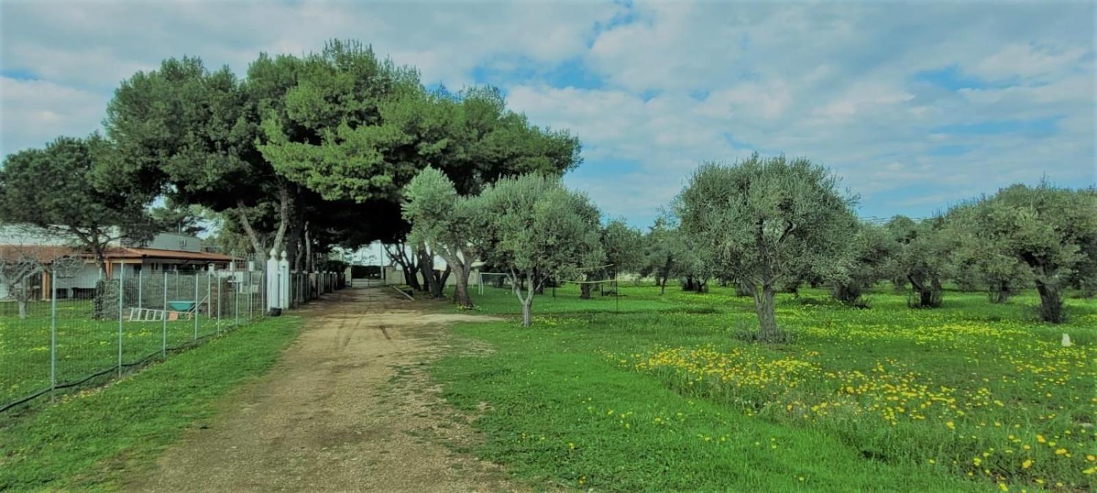 בארי Villa Laura מראה חיצוני תמונה