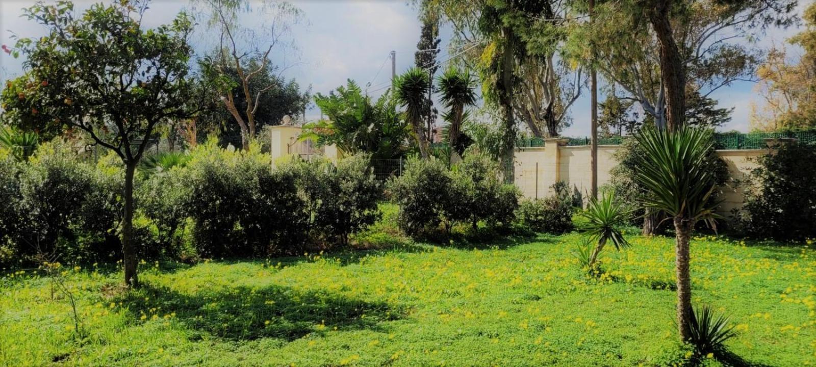 בארי Villa Laura מראה חיצוני תמונה