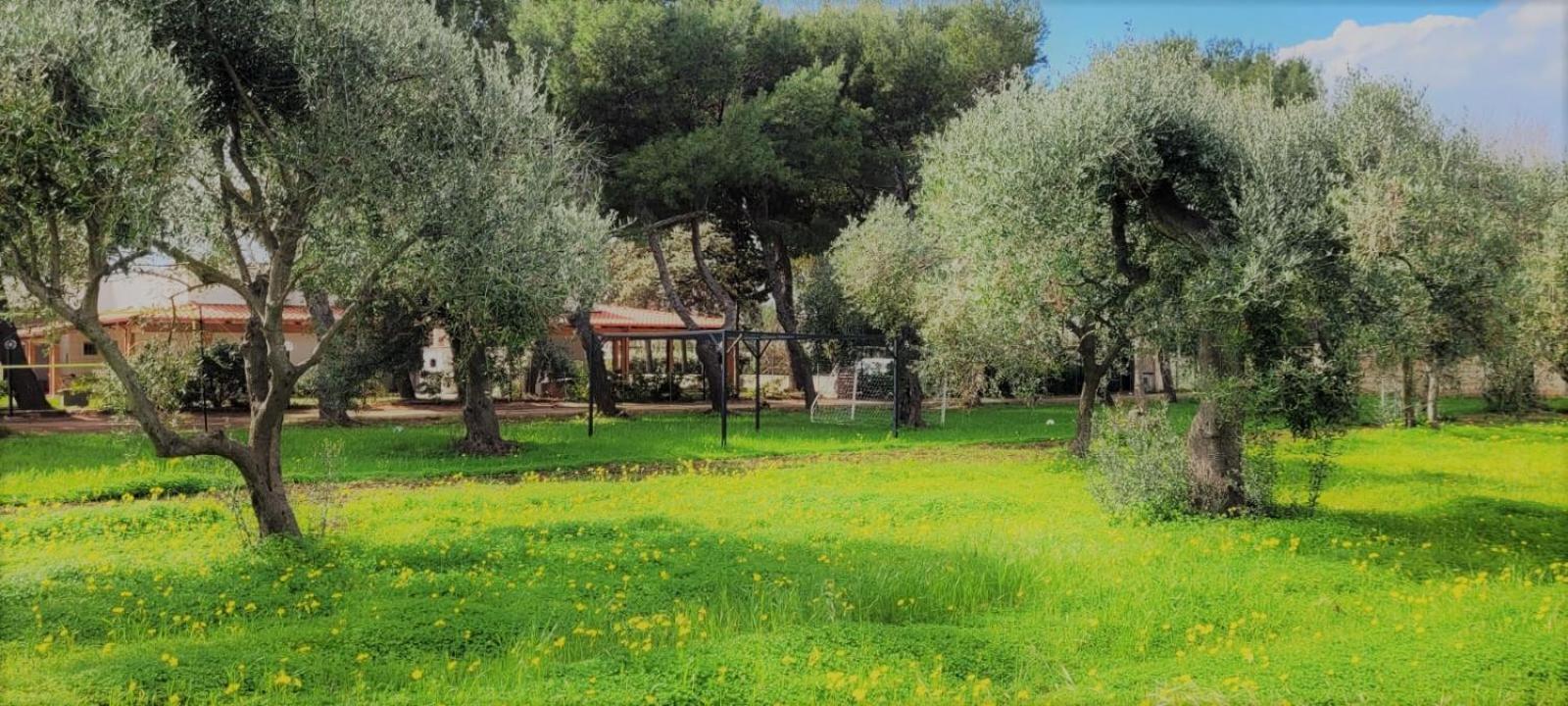 בארי Villa Laura מראה חיצוני תמונה